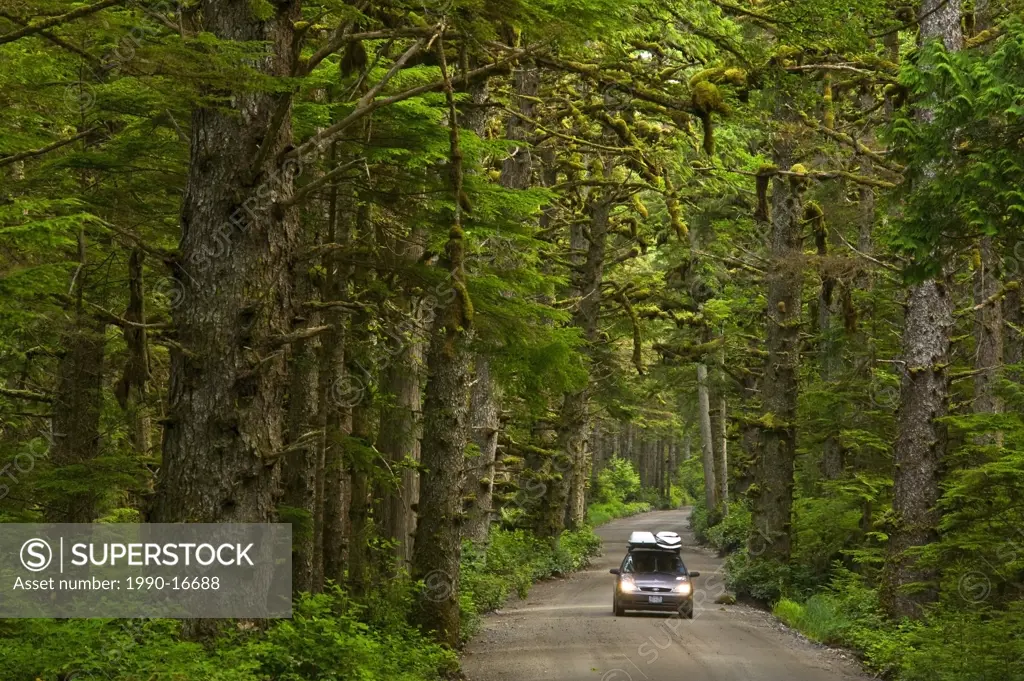 Car on the road to Tow Hill, Naikoon Provincial Park, Queen Charlotte Islands, British Columbia, Canada