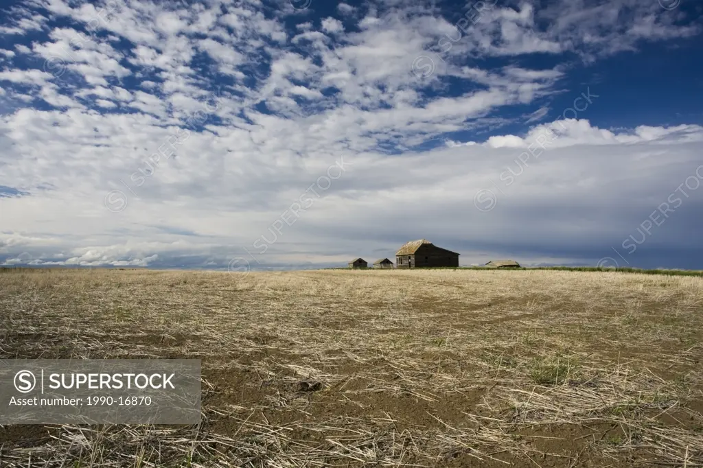 Empty field with abandoned homestead, Saskatchewan, Canada