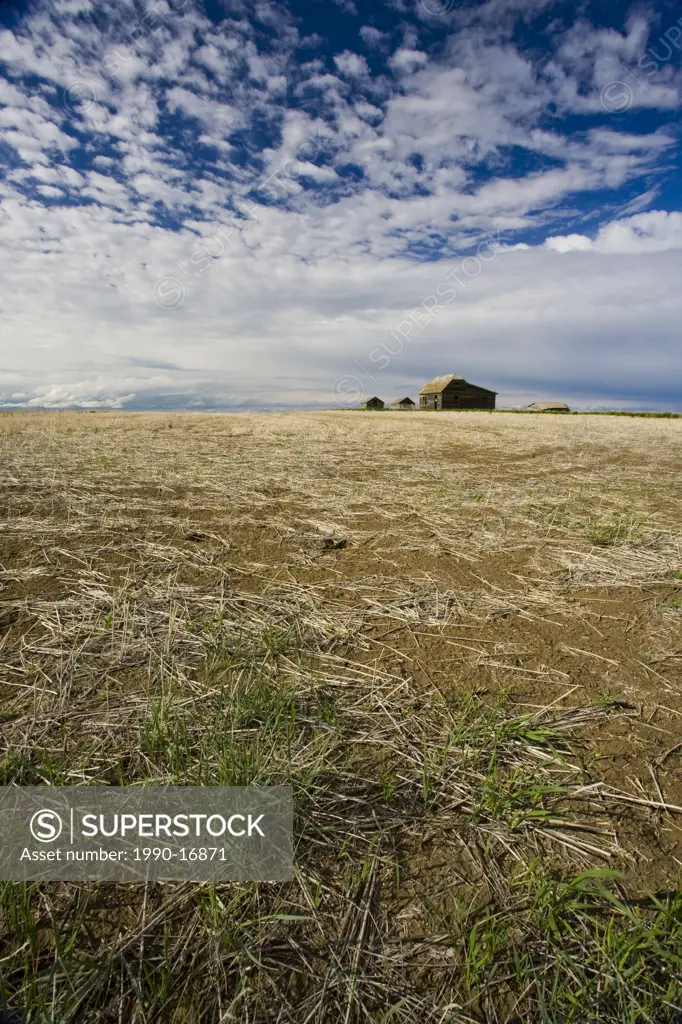 Empty field with abandoned homestead, Saskatchewan, Canada