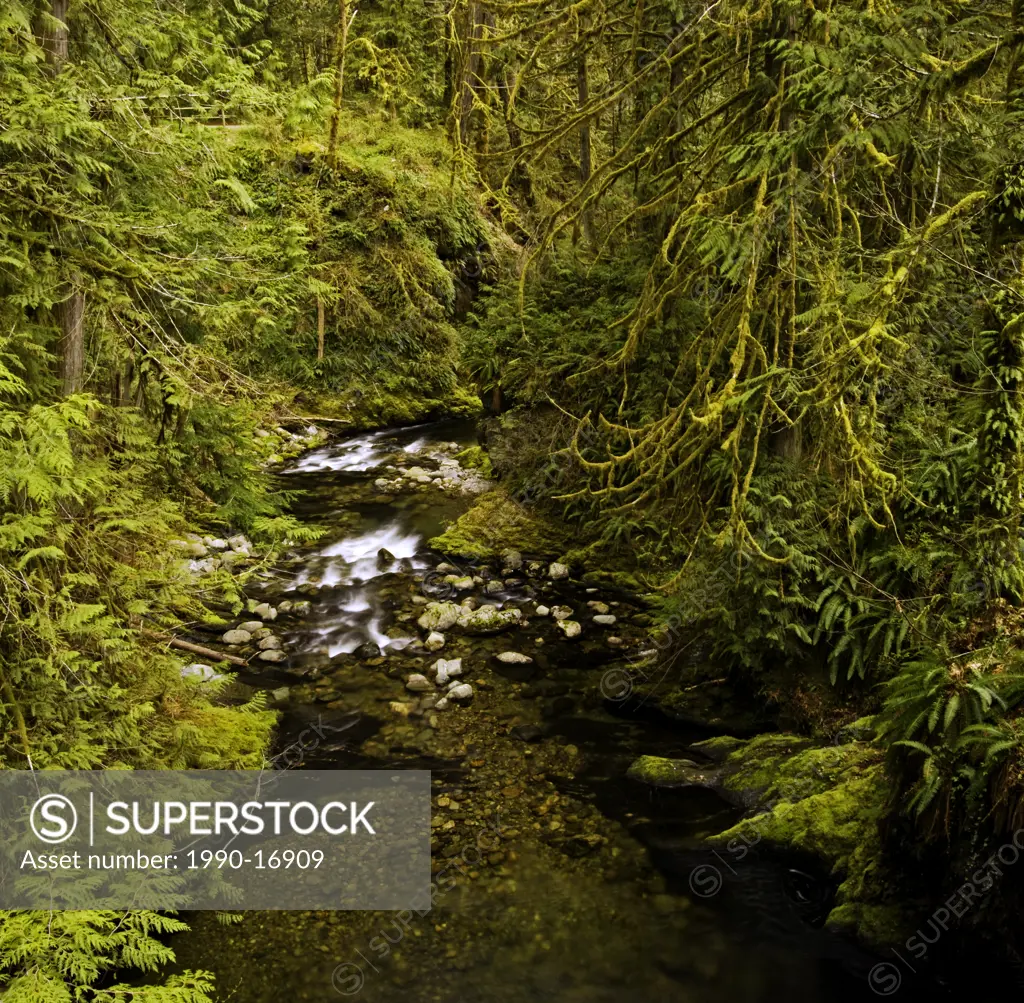 Goldstream River, Goldstream Provincial Park, Langford, Vancouver Island, British Columbia, Canada