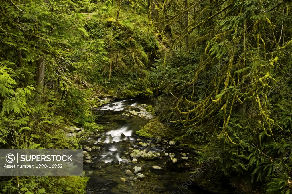 Goldstream River, Goldstream Provincial Park, Langford, Vancouver Island, British Columbia, Canada