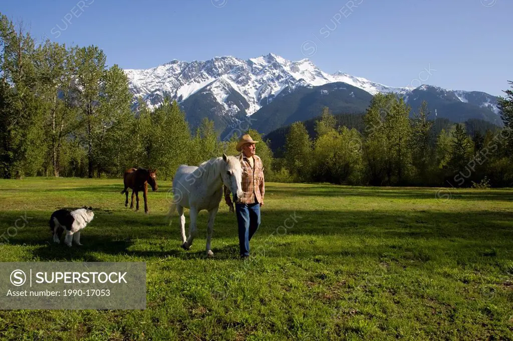 Cowboy tending to his horses, Pemberton, British Columbia, Canada