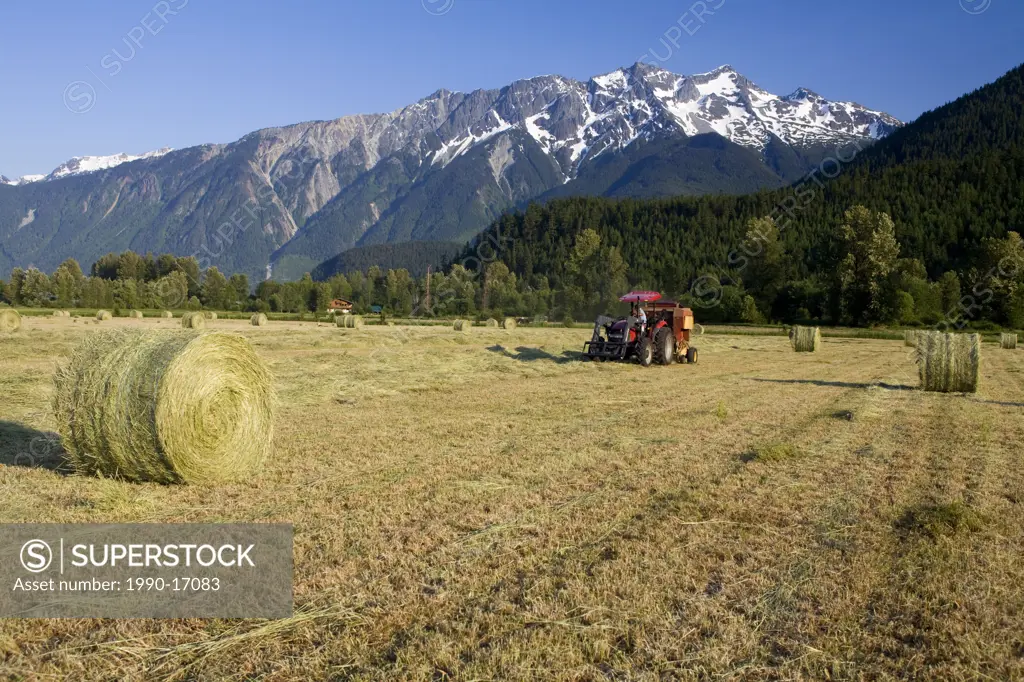 Bailing hay, Pemberton, British Columbia, Canada