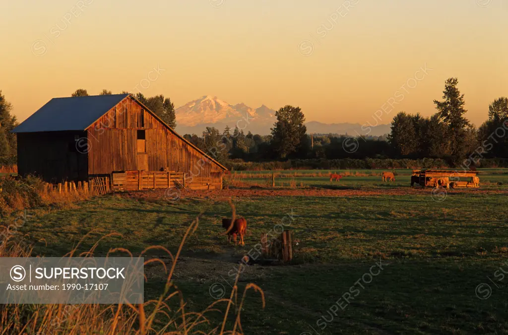 farm on Barnston Island, Surrey, British Columbia, Canada
