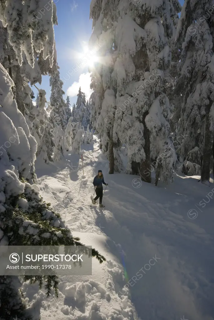 Allison Webb heading up Hollyburn Mountain at Cypress Provincial Park near Vancouver BC Canada