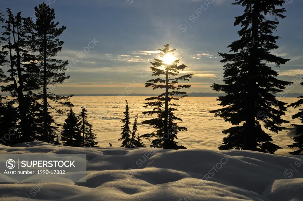 Mount Seymour Provincial Park, Vancouver, British Columbia, Canada