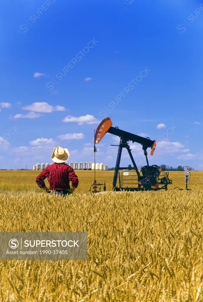 a man looks out over a harvest ready wheat field with an oil pump jack and grain storage bins in the background, near Sinclair, Manitoba, Canada
