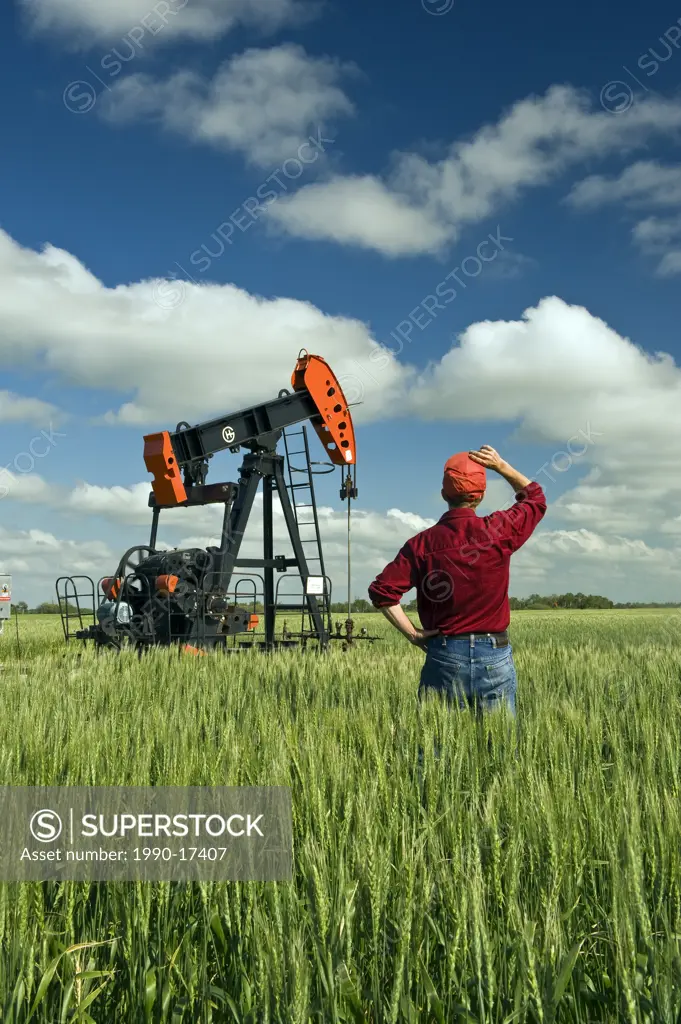 a man looks out over a wheat field with an oil pumpjack in the background, near Sinclair, Manitoba, Canada
