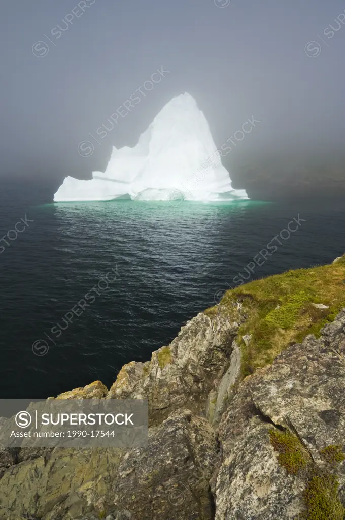 Iceberg in rising fog floats in Trinity Bay off the rocky coast of Bonavista Peninsula of eastern Newfoundland, Newfoundland and Labrador, Canada.