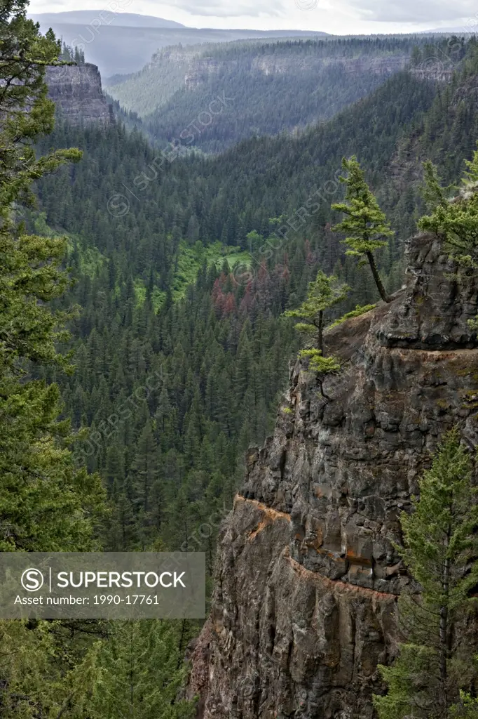 View over the Chasm, a volcanic gorge near Clinton, British Columbia, Canada