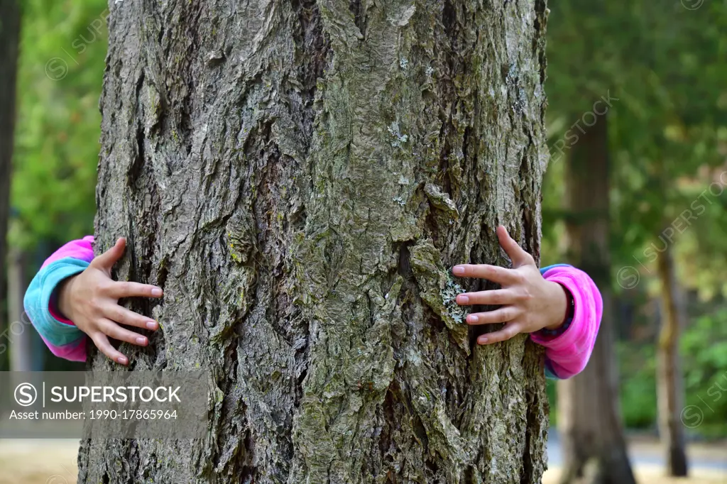 A person in colorful clothing with her arms wraped around the trunk of a large tree growing on Vancouver Island, British Columbia, Canada