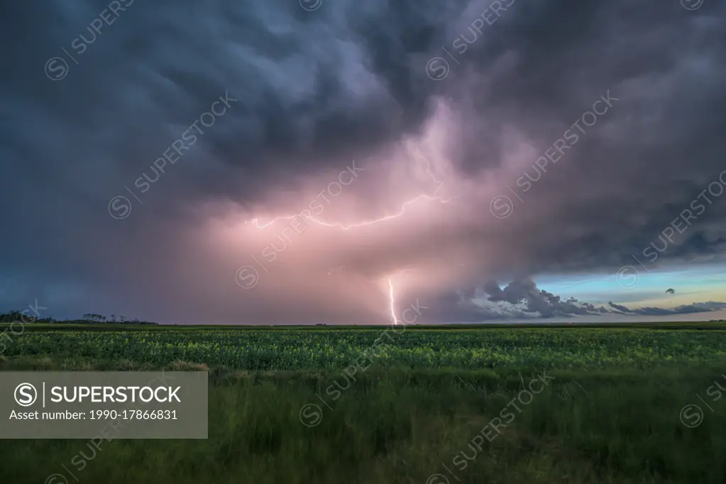 Storm with lightning flashing over field in rural southern Manitoba Canada