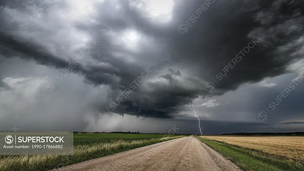 Storm with lightning over wheat field and gravel road in southern rural Manitoba Canada