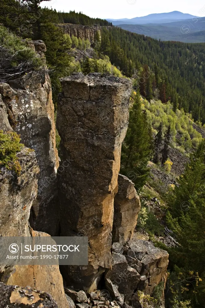 Basalt columns in The Precipice in the Chilcotin region of British Columbia Canada