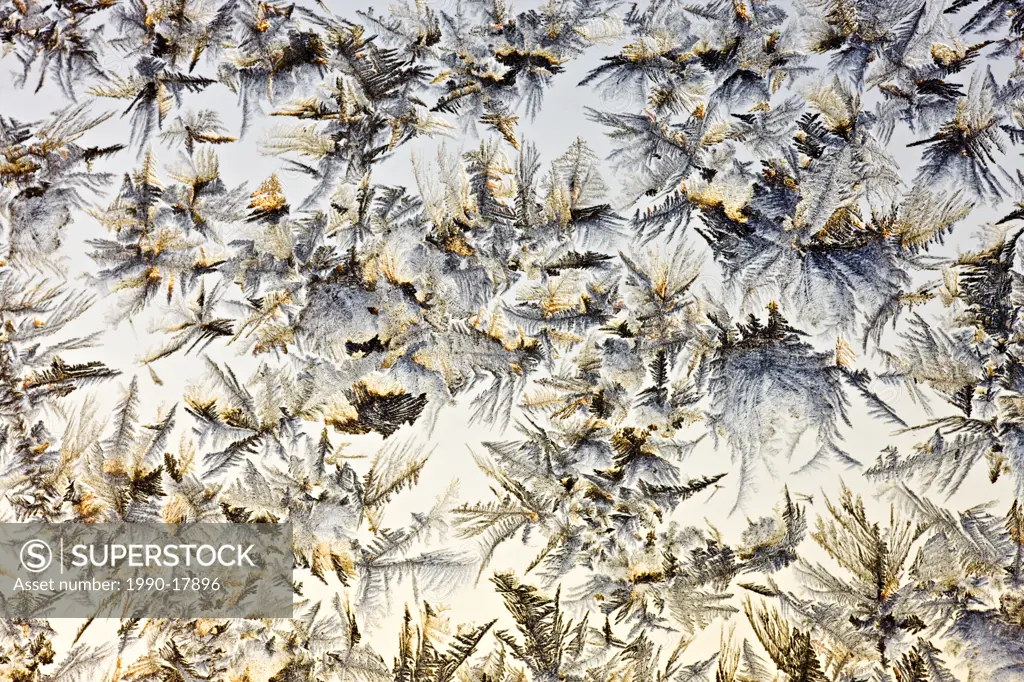 frost patterns at sunrise