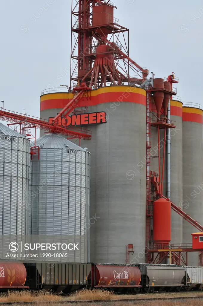 A vertical image of steel grain storage tanks and concrete silos at a grain storage facility in Alberta Canada