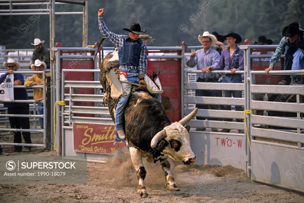 A young bull rider on the back of a large bucking bull named Gunslinger attempting to stay on for the 8 second bell at a rodeo event in Alberta Canada...