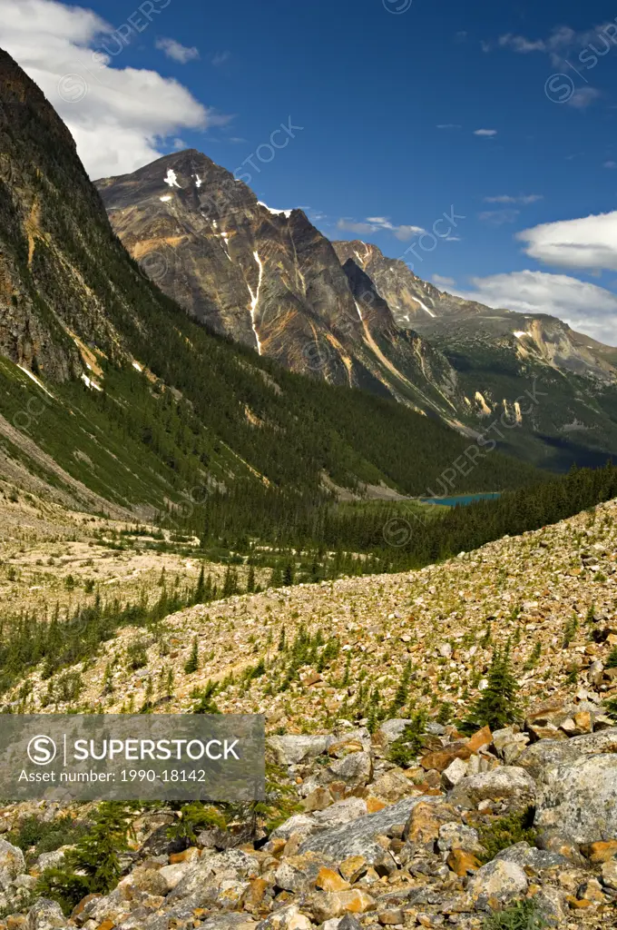 The beautiful valley and the trail that leades the way from Angel Glacier and Mount Edith Cavel.