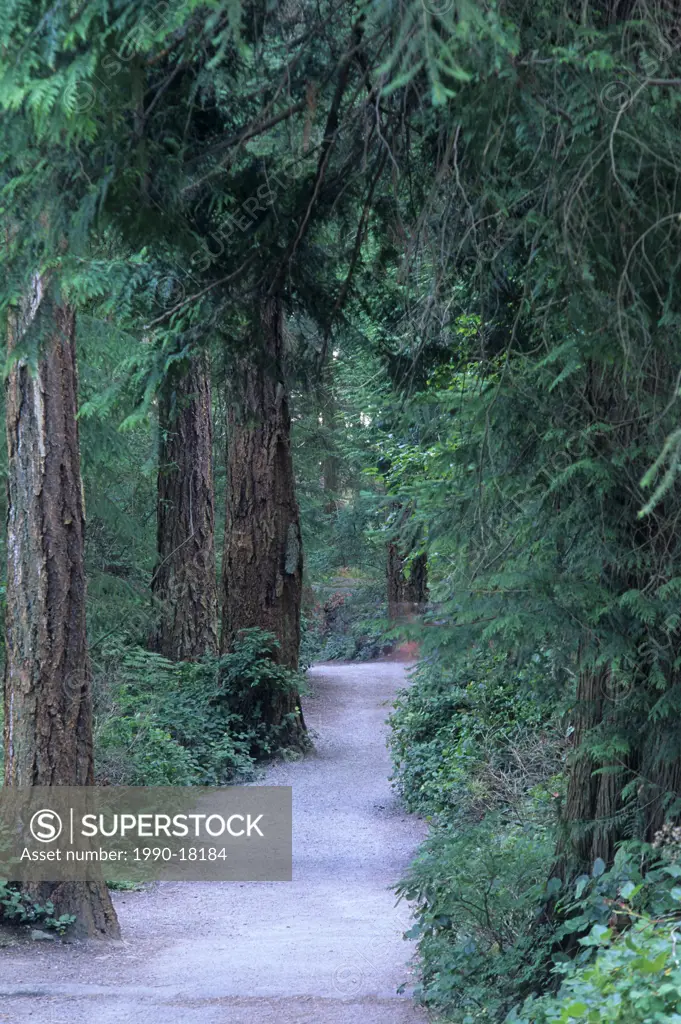 Hiking Trail, Lighthouse Park, West Vancouver, British Columbia, Canada