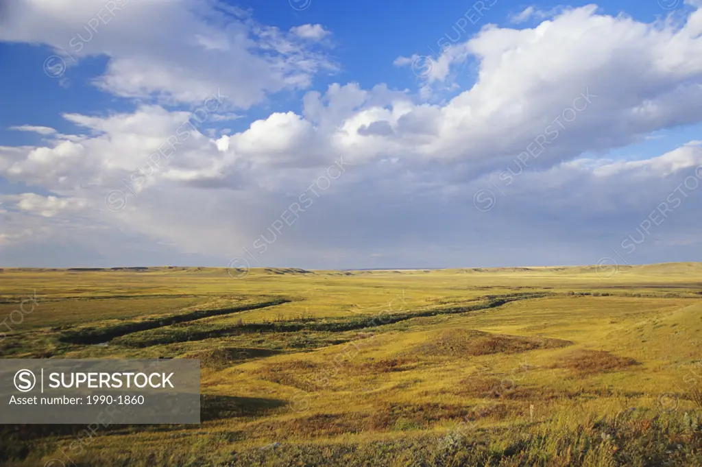 Prairie Grasslands National Park, Saskatchewan, Canada