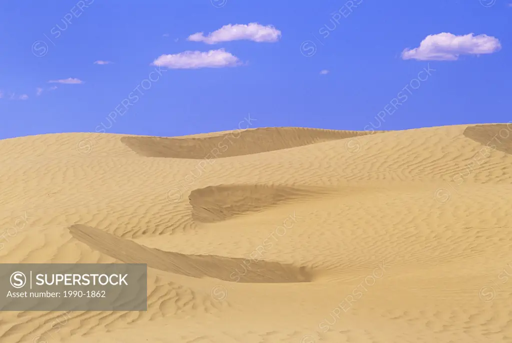 Sand dunes, Great Sand Hills, Saskatchewan, Canada