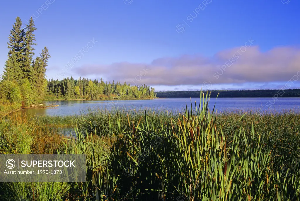 Wetland scenic, Prince Albert National Park, Saskatchewan, Canada
