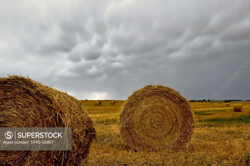 Hay bails and mammatus cloud formations. St. Leon, Manitoba, Canada.