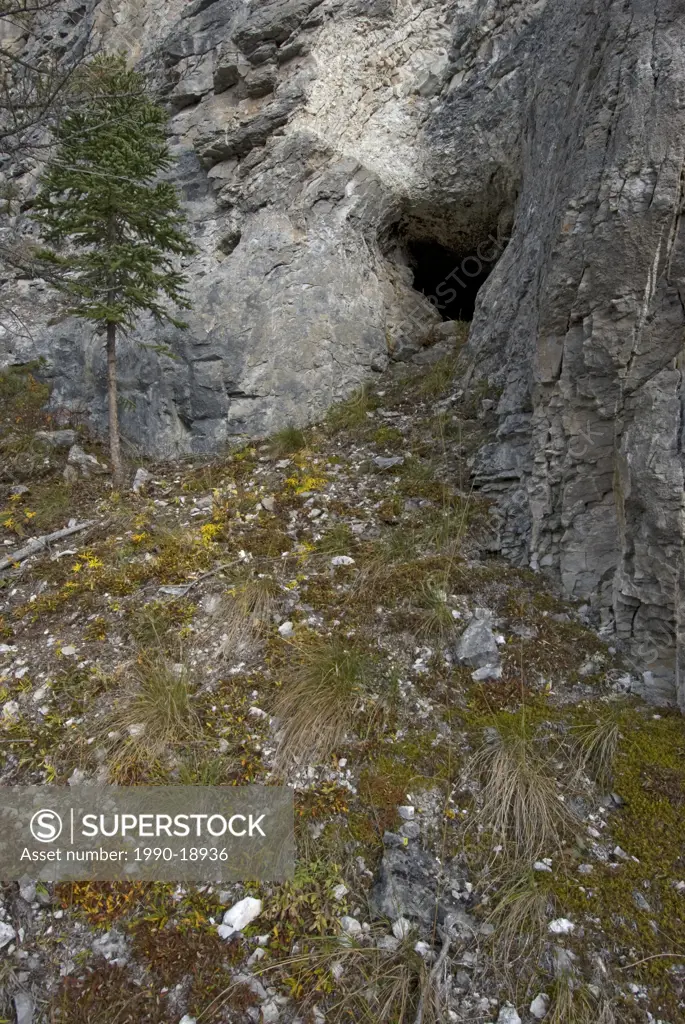Entrance to grizzly bear den on side of mountain. Yukon Territory, Canada.