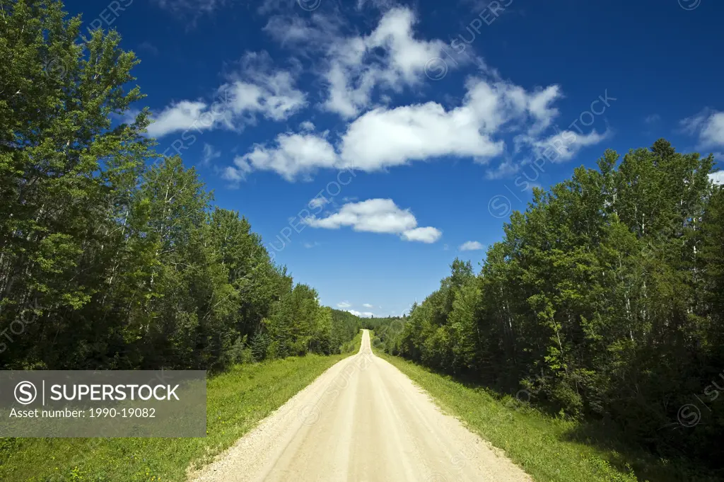 Country road through boreal forest. Duck Mountain Provincial Park, Manitoba, Canada