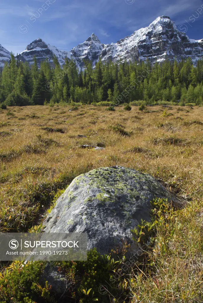 Wenkchemna Peaks, Larch Valley Trail, Banff National Park, Alberta, Canada