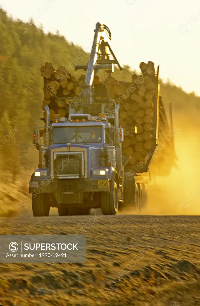 Truck hauling a load of logs on a road through the woods.