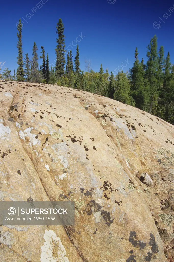 Precambrian shield near Yellowknife, Northwest Territories, Canada