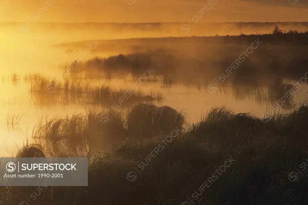 Sunrise and mist on Whirlpool Lake, Riding Mountain National Park, Manitoba, Canada