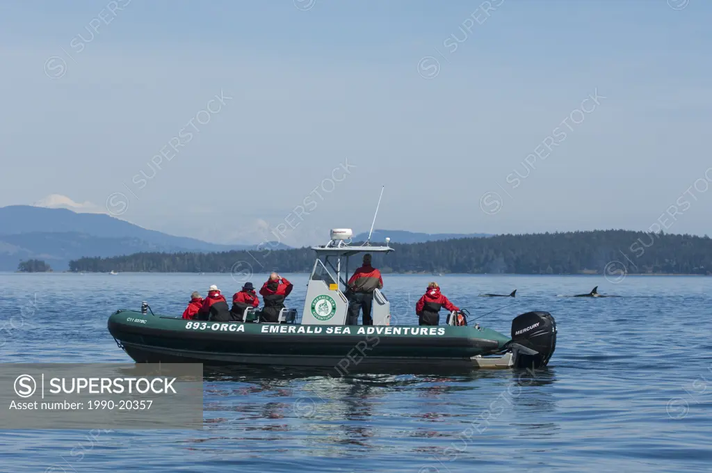 Whale watching boat, Emerald sea adventures, Gulf Islands, BC, Canada