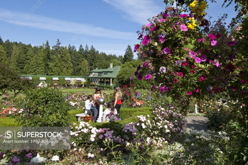 Butchart Gardens, Rose Gardens in summer, Victoria, BC, Canada