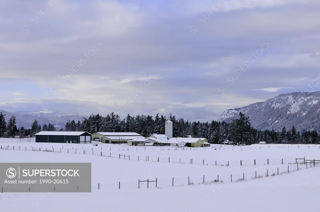 Winter snow on farm in Cowichan Bay, BC.