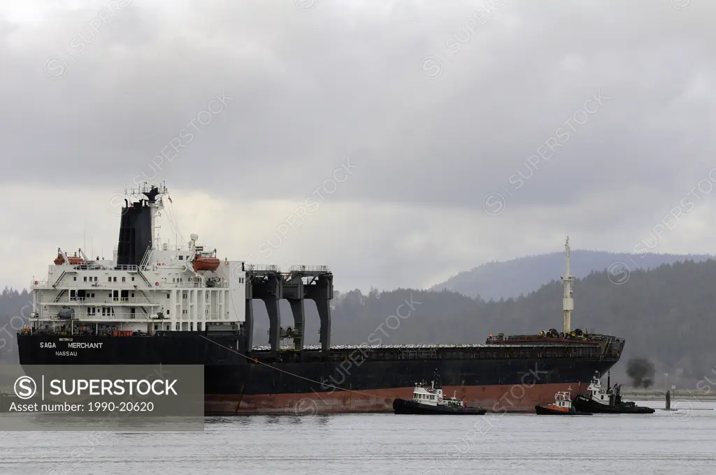 Tugs assist freighter into dock in Cowichan Bay, BC.