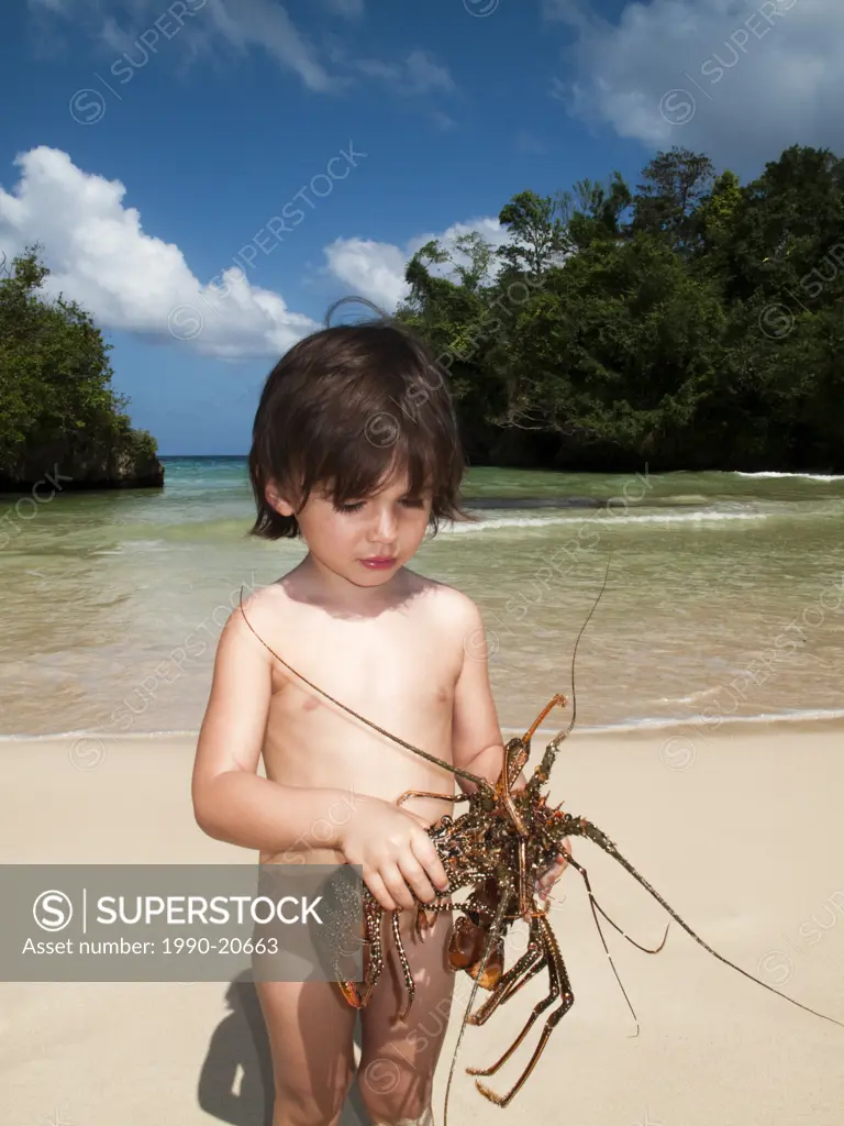 3 year old eurasian boy holding live lobsters on the beach