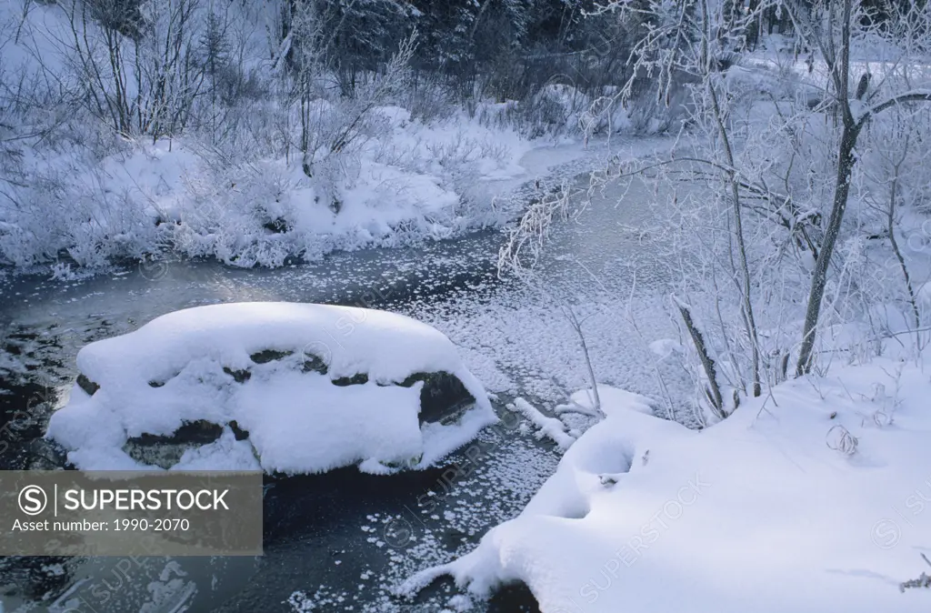 Frozen creek Whiteshell Provincial Park, Manitoba, Canada