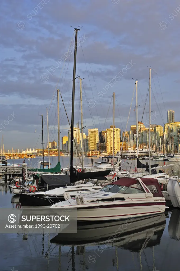Vancouver Rowing Club Marina with view of Coal Harbour looking toward downtown, Vancouver, British Columbia, Canada