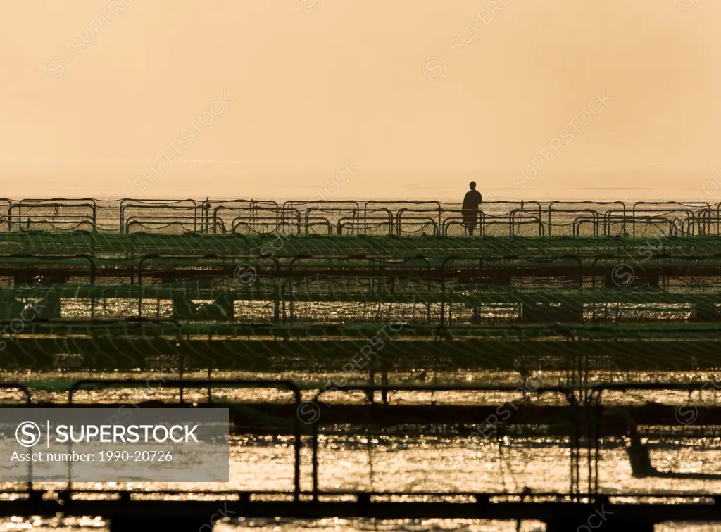 A lone fishfarm worker surveys his fish_pens in the early morning light. Nootka sound area, Northern Vancouver Island, British Columbia, Canada.