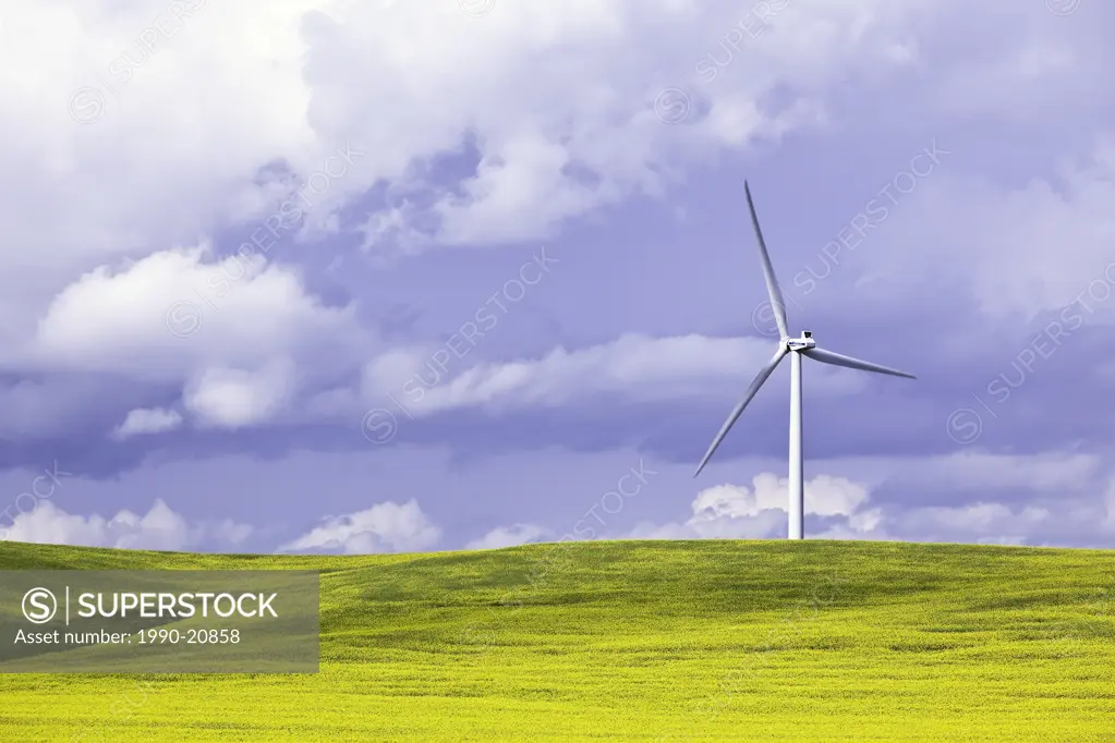 Wind Energy Turbine and Canola Field, on a stormy day. St. Leon, Manitoba, Canada.