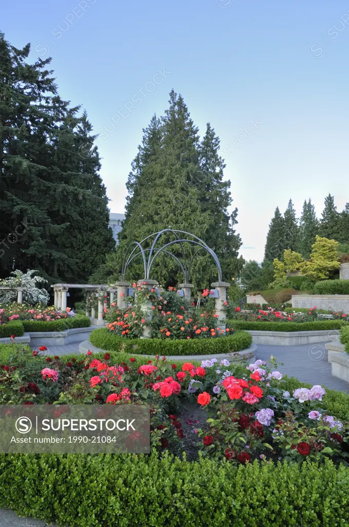 The Rose Garden, University of BC, Vancouver, British Columbia, Canada