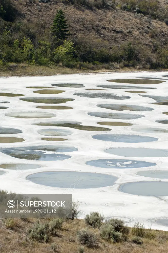 Klikuk, the Spotted Lake, containing one of the world´s highest concentrations of minerals, Osoyoos, BC, Canada