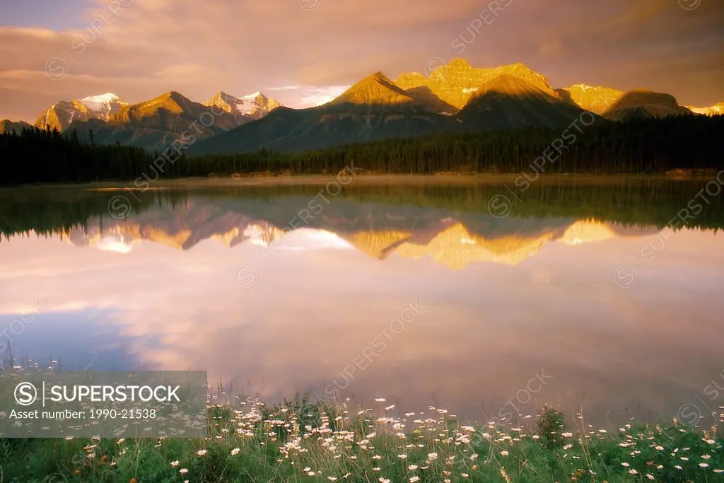 Dawn at Herbert Lake with Mount Niblock, Banff National Park, Alberta, Canada