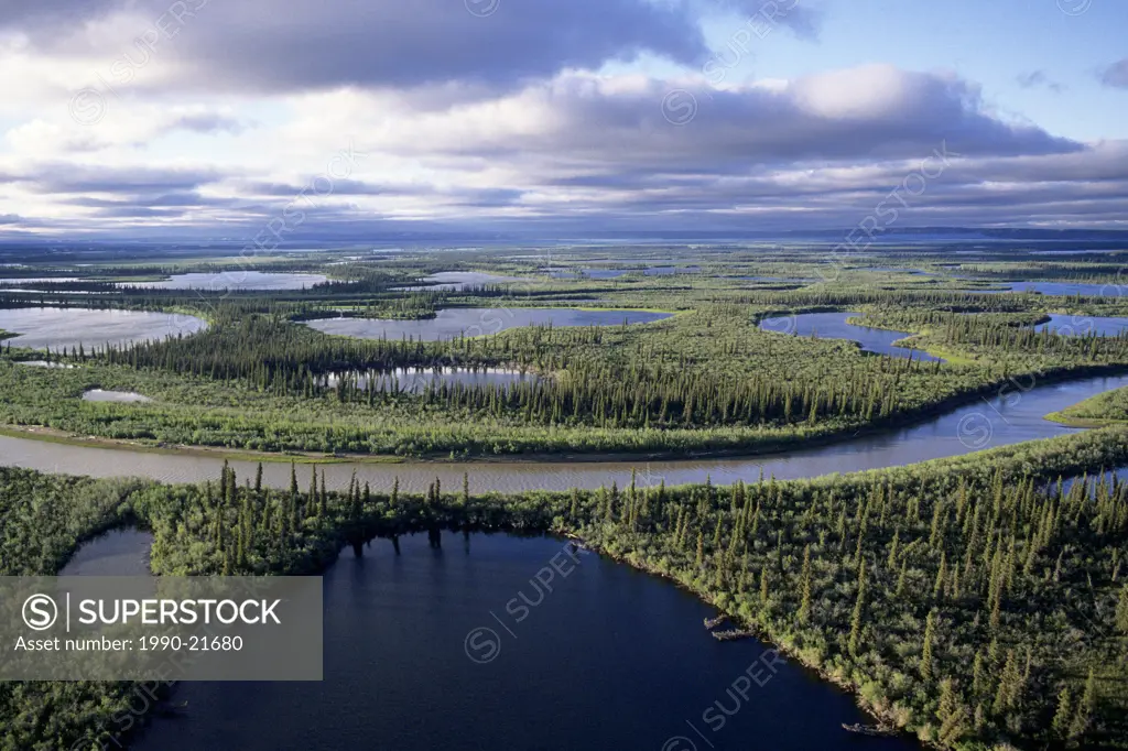 Mackenzie River Delta, NWT, Arctic Canada