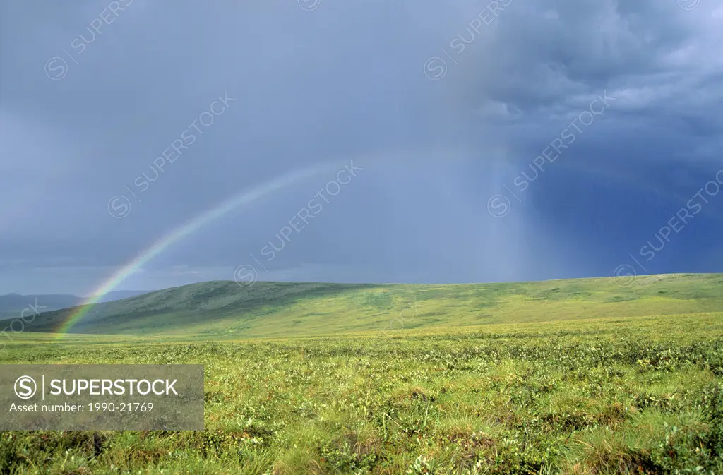 Rainstorm and rainbow in the British Mountains, Vuntut National Park, northern Yukon, Arctic Canada