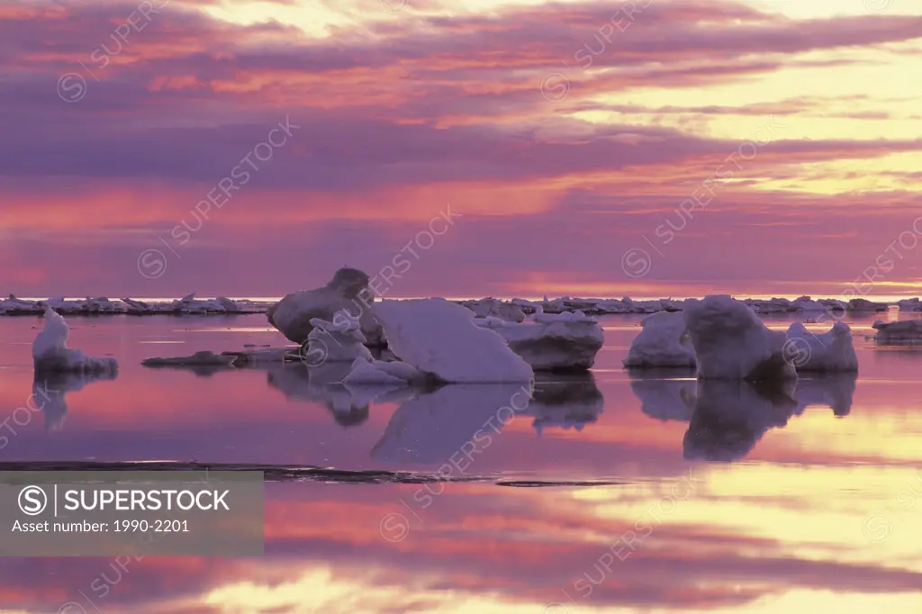 Ice flow on hudson bay at dusk, Churchill, Manitoba, Canada