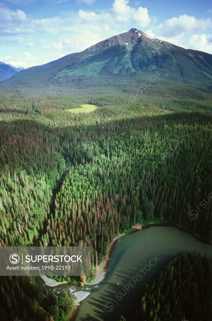 Nass River Aerial, Nisga´a territory, British Columbia, Canada