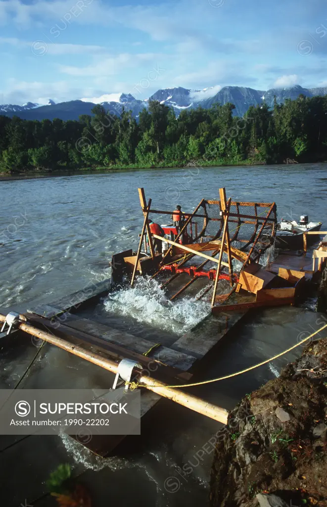 Nisga´a gill fishwheel, salmon research test fishery, British Columbia, Canada
